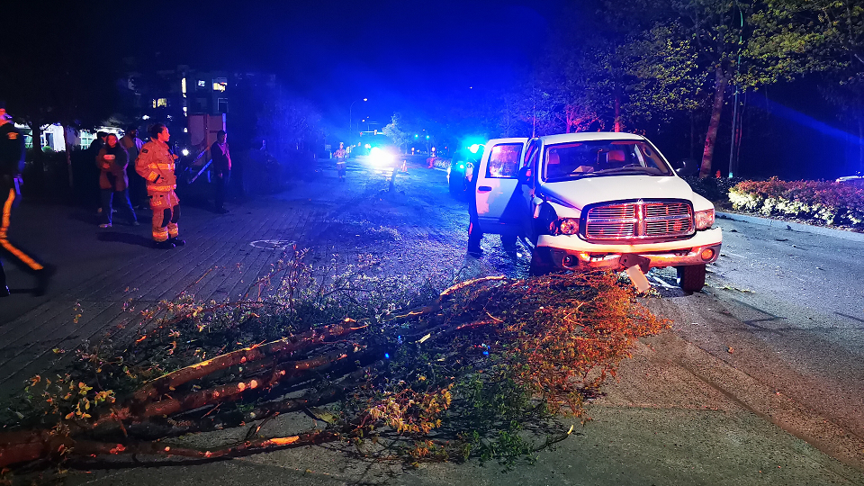 A picture of a hit and run scene where a white Dodge ram truck struck a tree