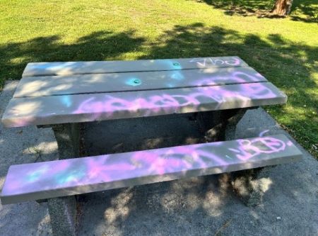 A picnic table in Rainbow Park vandalized with pink and blue spray painted graffiti. 