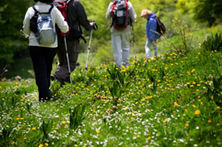 Quatre personnes marchant dans l’herbe