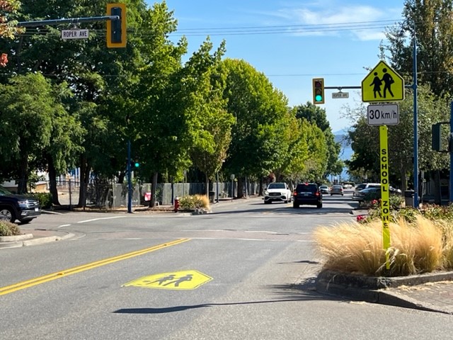  Intersection of Roper and Johnston with school zone sign 
